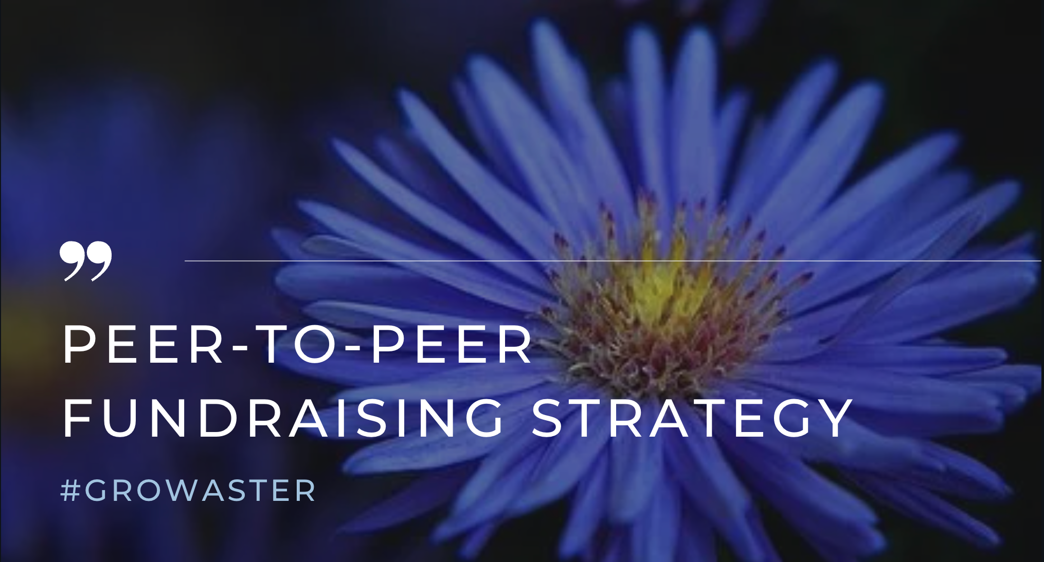 Screen Shot 2022-05-13 at 9.28.25 PM.png